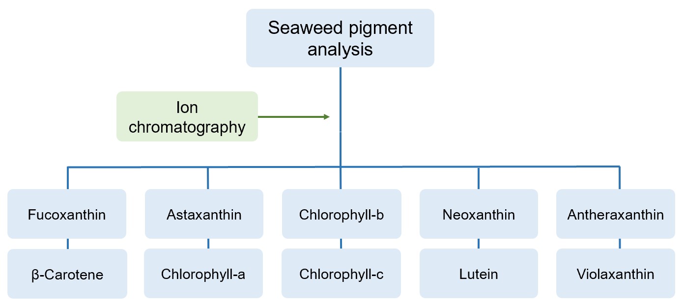 Types of quantitative analysis of pigments in seaweeds. (Creative Biolabs Original)