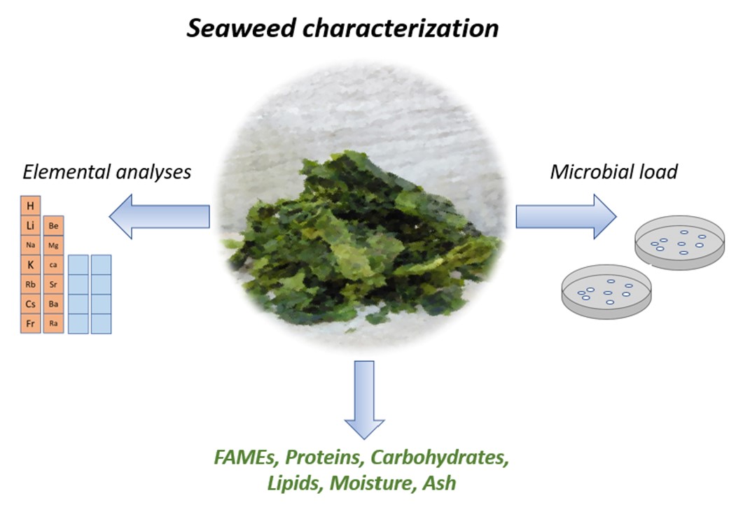 Seaweed contains a variety of chemical compositions. (Campos, et al., 2022)