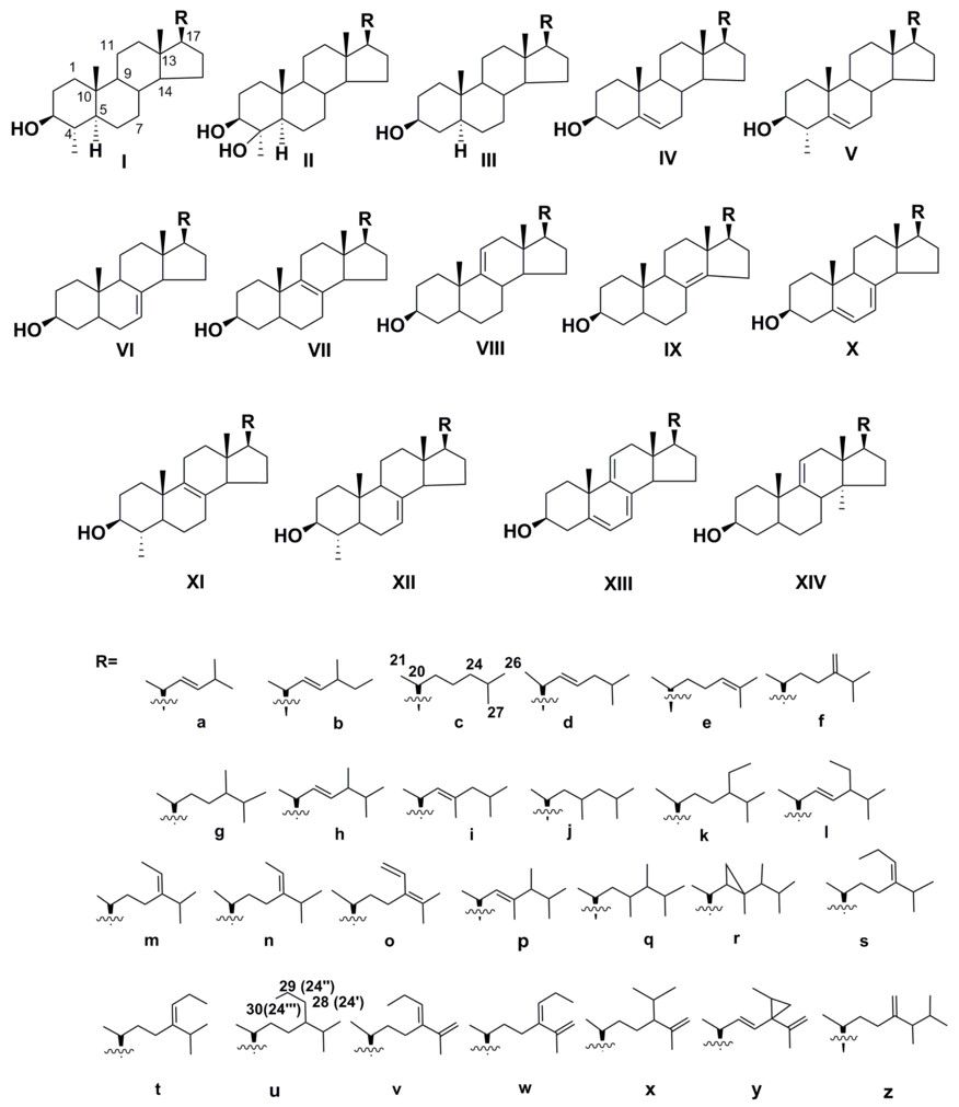 Fig.1 Example of the structure of sterols. (Stonik & Stonik, 2018)