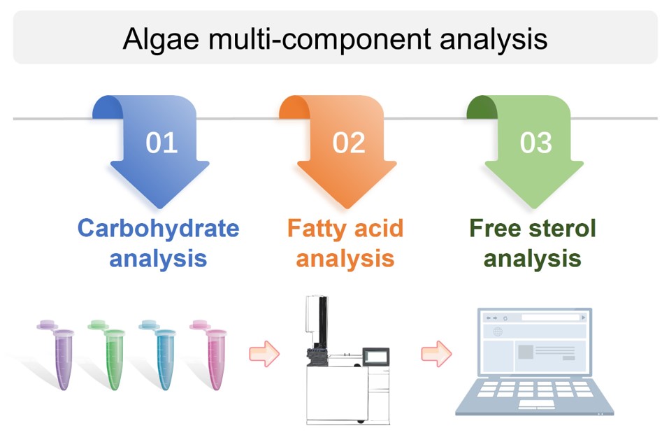 Comprehensive analysis of multiple components in algae. (Creative Biolabs Original)