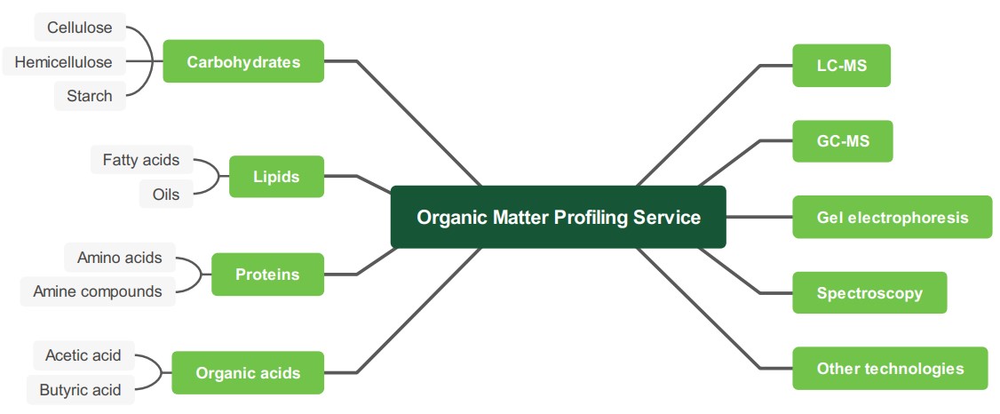 Reliable organic matter profiling service. (Creative Biolabs Original)