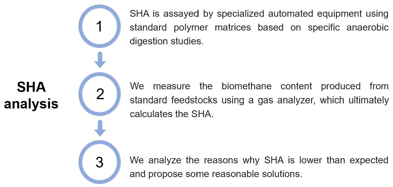 Detailed SHA analysis process. (Creative Biolabs Original)