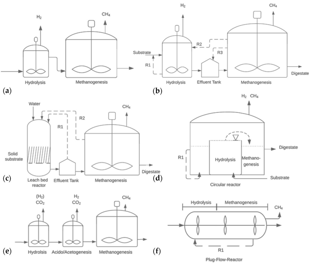 Fig.1 A form of hydrolysis phase in anaerobic digestion. (Menzel, Neubauer & Junne, 2020)