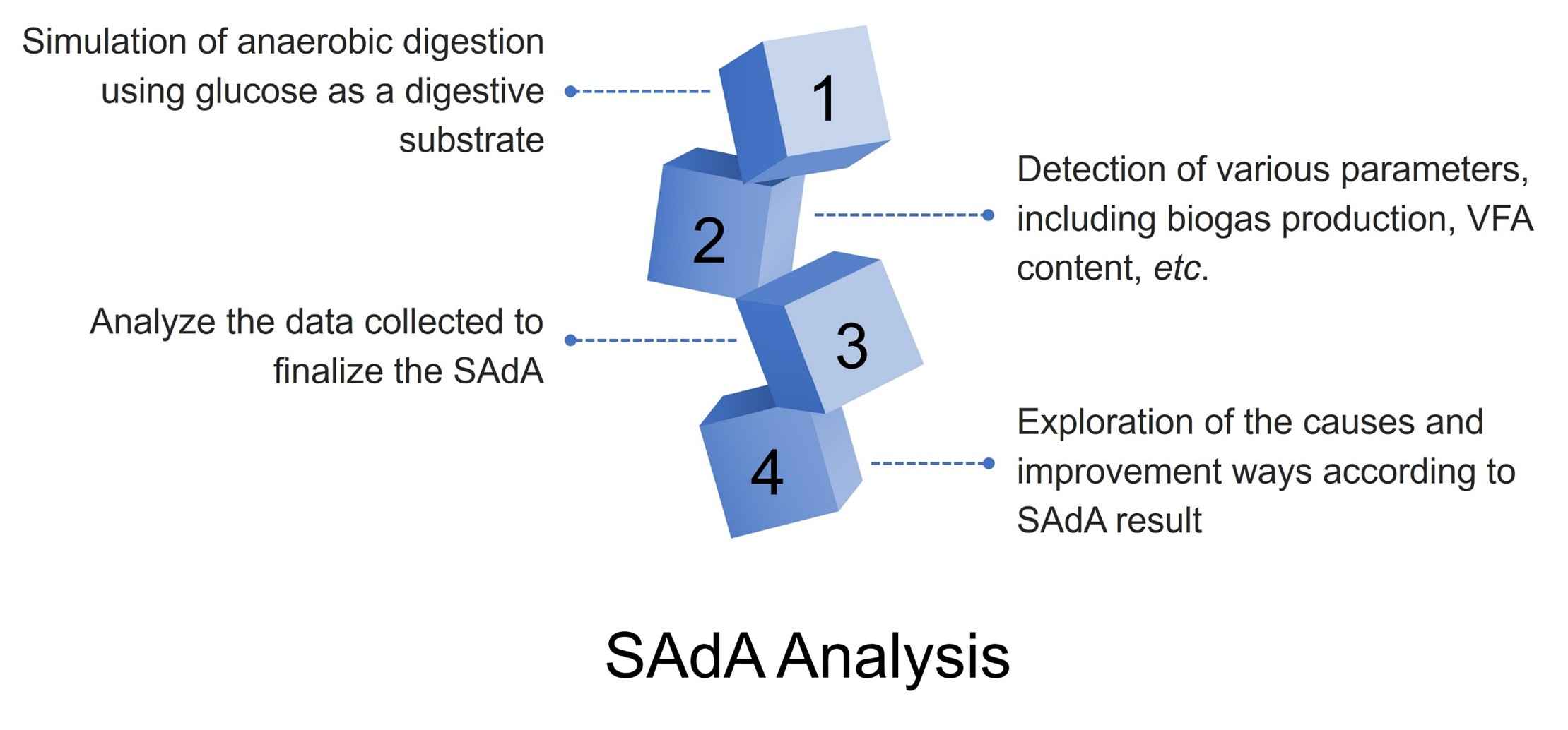 The SAdA analysis process. (Creative Biolabs Original)