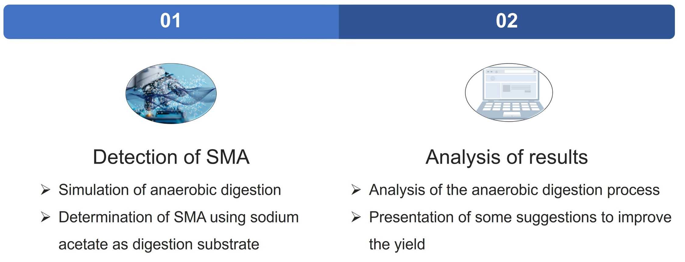 Fig.1 Comprehensive, detailed, high-quality SMA analysis. (Creative Biolabs Original)