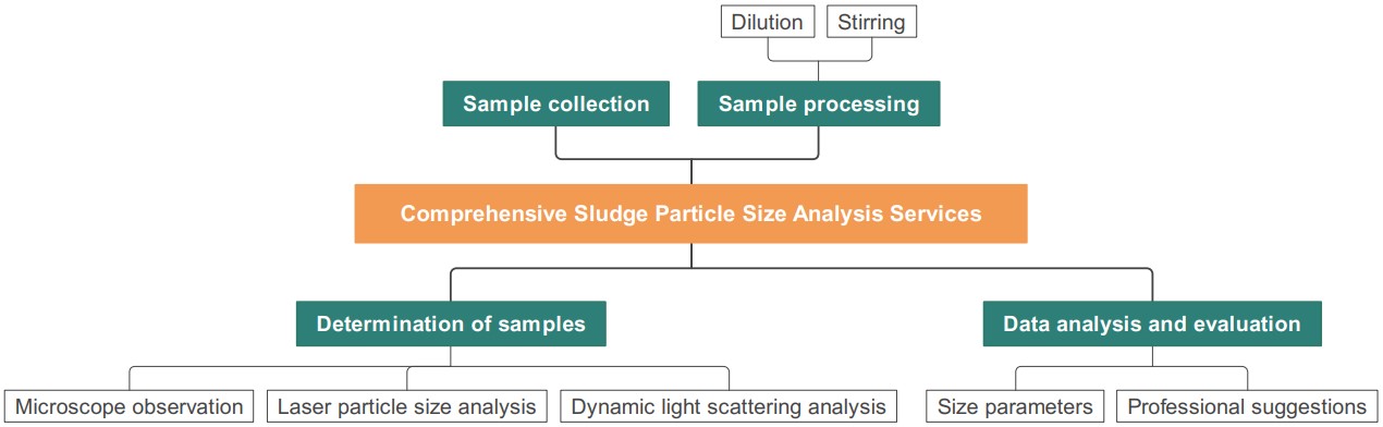 Comprehensive analysis process of sludge granule size. (Creative Biolabs Original)