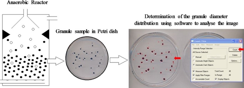 Fig.1 Determination process of biological sludge particle diameter distribution. (Alves, et al., 2018)