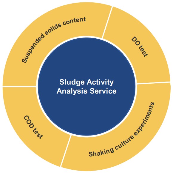 Diversified sludge activity analysis services. (Creative Biolabs Original)