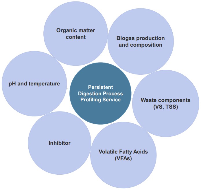 Anaerobic digestion-based one-stop analysis service. (Creative Biolabs Original)