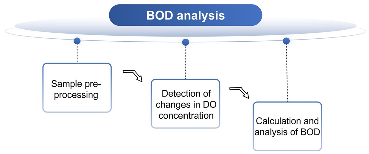 Flowchart for BOD analysis.(Creative Biolabs Original)