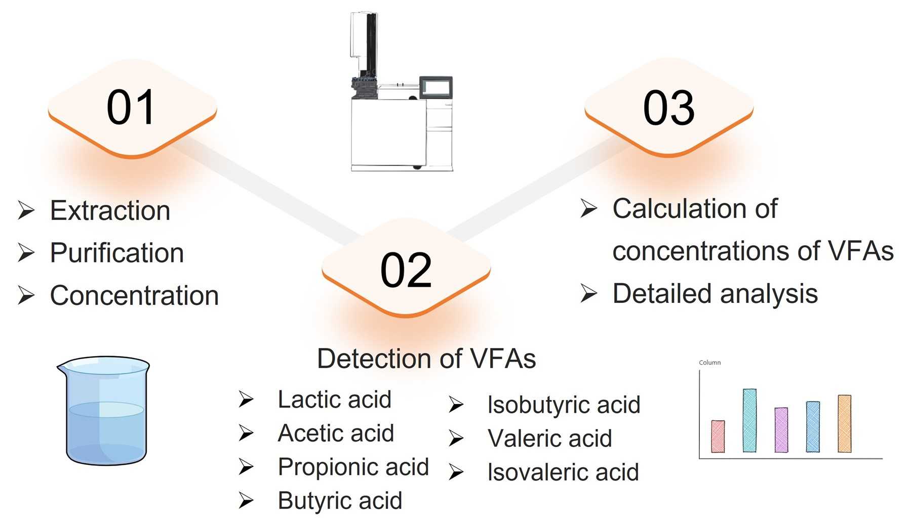 Fig.1 Process for analyzing VFAs. (Creative Biolabs Original)