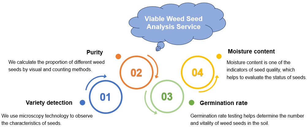 Mature viable weed seed analysis service. (Creative Biolabs Original)