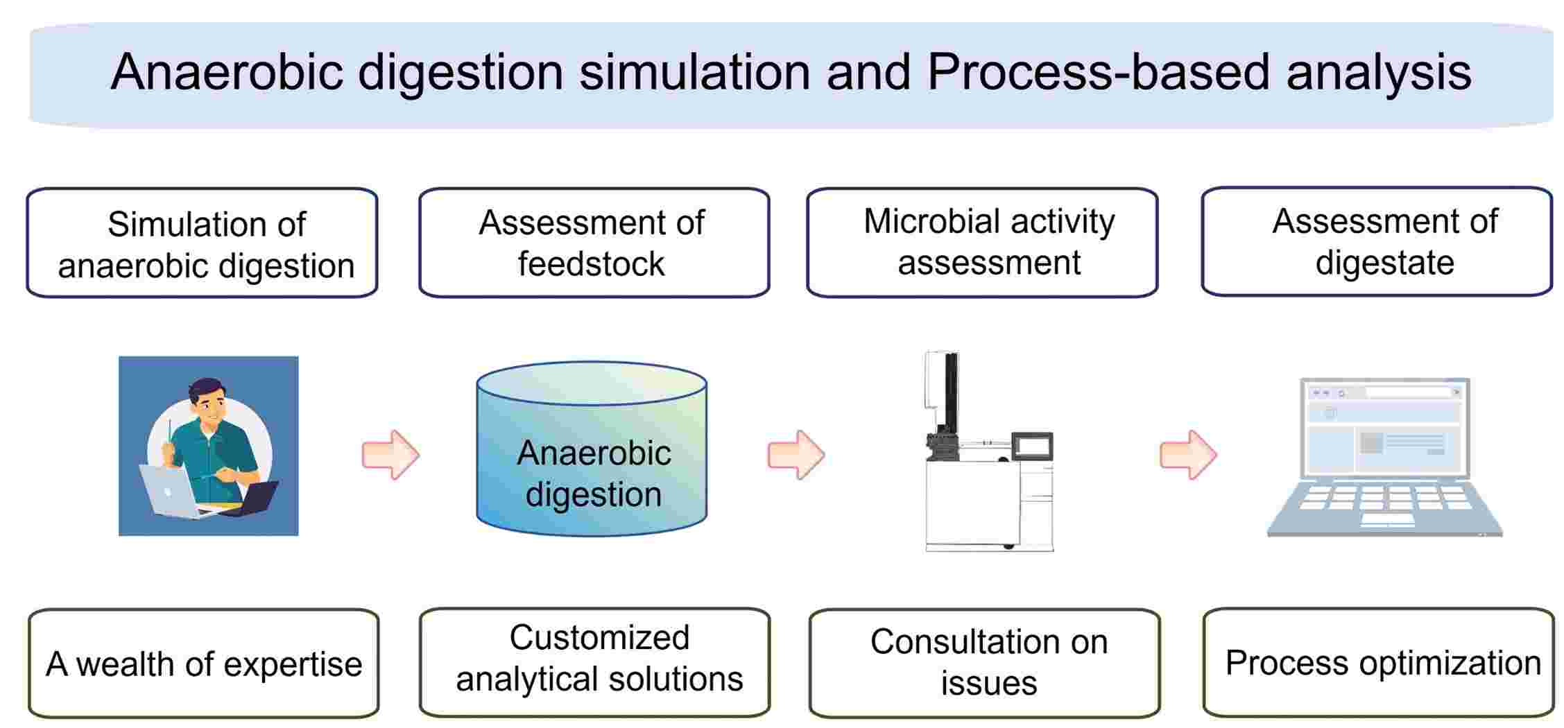 Comprehensive anaerobic digestion process-based analysis service. (Creative Biolabs Original)