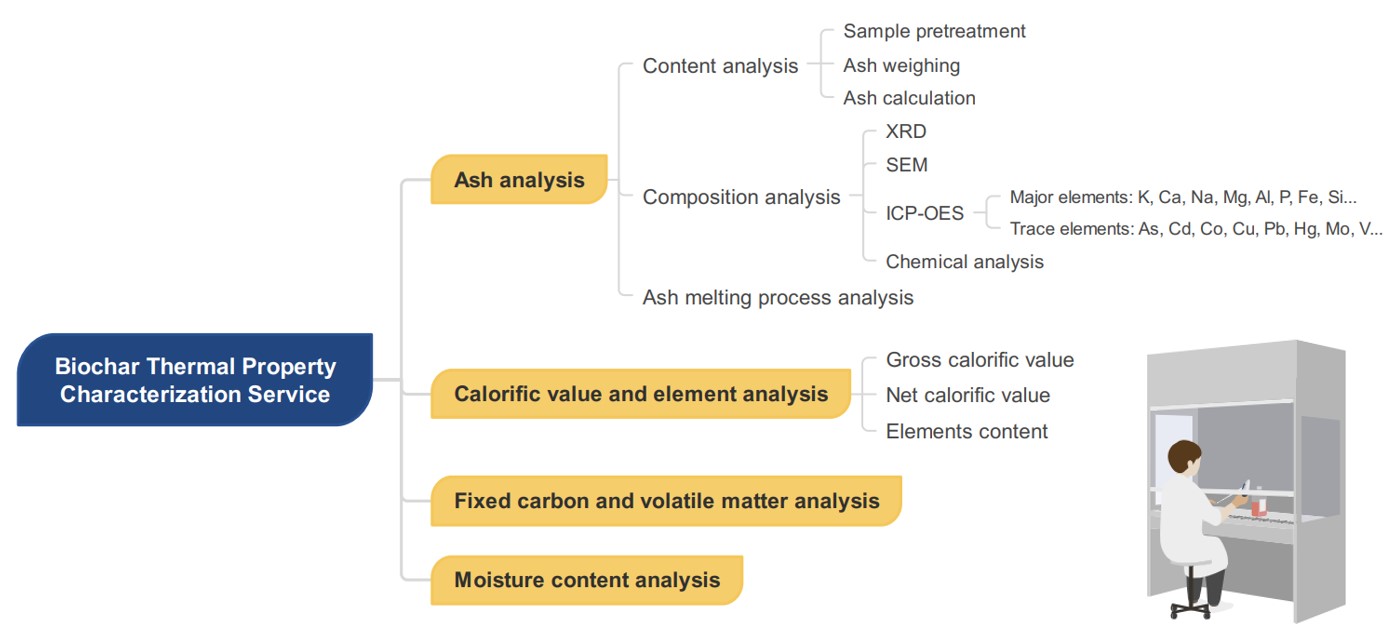 Professional biochar thermal property analysis service. (Creative Biolabs Original)