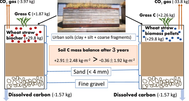 Fig.1 Study on soil carbon sequestration by wheat straw and its biochar. (Wang, et al., 2023)