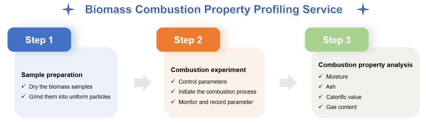 Comprehensive combustion property analysis service for biomass. (Creative Biolabs Original)