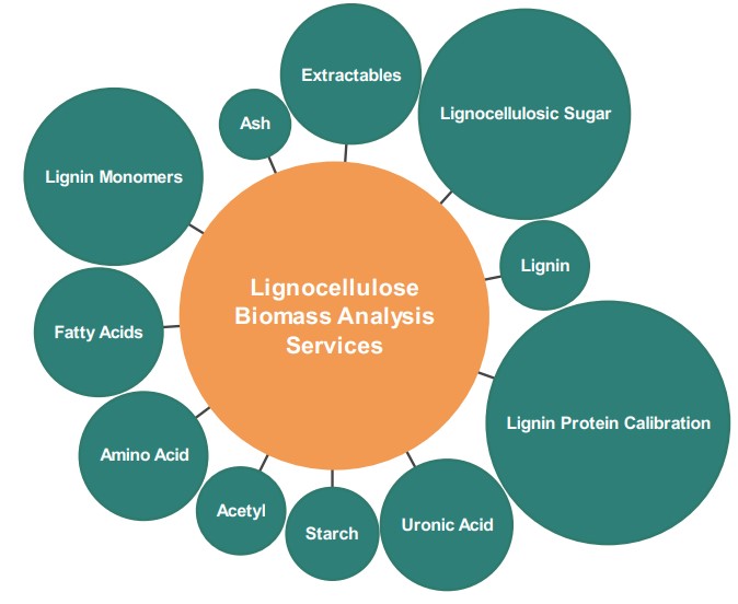 Biomass composition analysis of lignocellulosic materials. (Creative Biolabs Original)