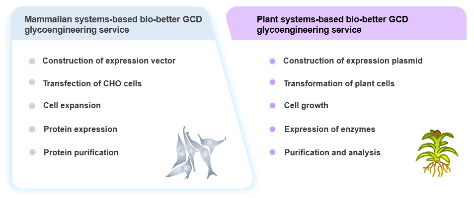 Bio-better GCD glycoengineering service. (Creative Biolabs Original)