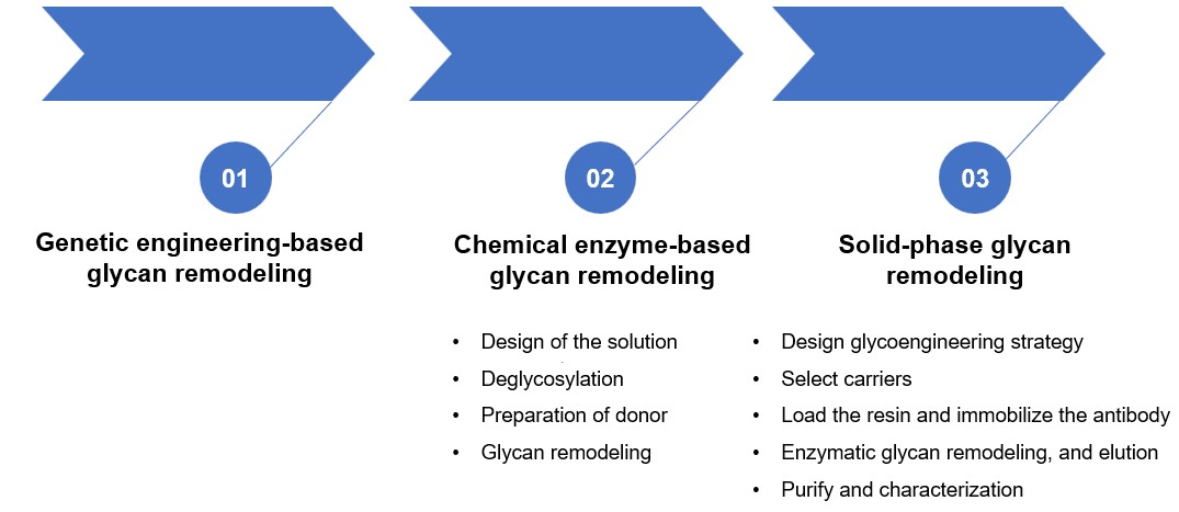 Diverse glycan remodeling strategies. (Creative Biolabs Original)