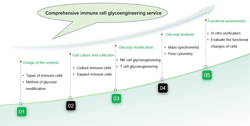 One-stop immune cell glycoengineering service. (Creative Biolabs Original)