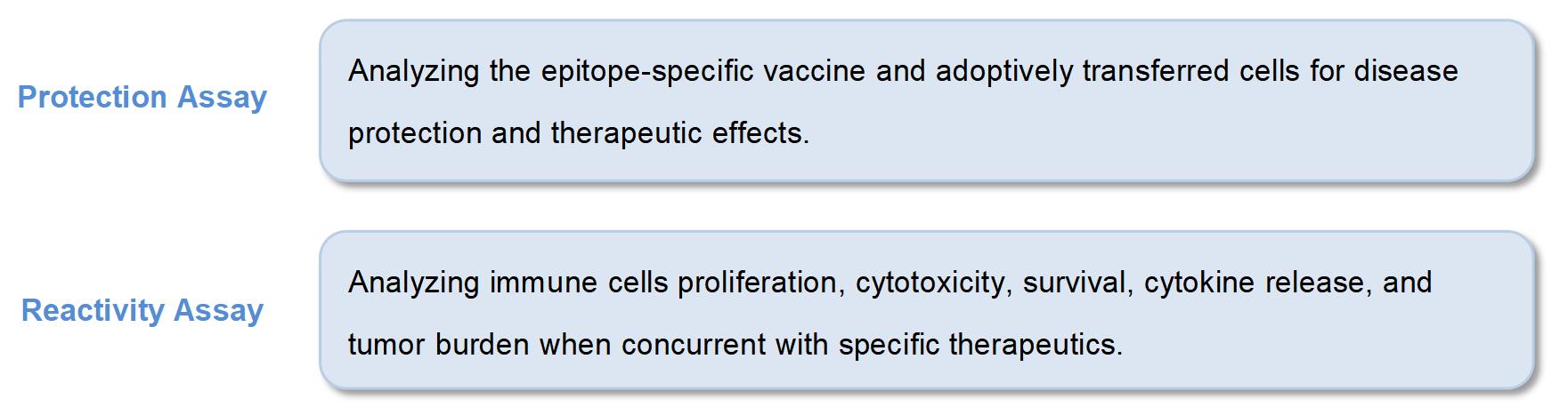 Immunodominant Epitope Evaluation Services