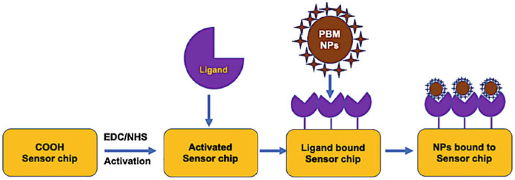 Schematic description of ligand bound to the analyte. (Singh & Singh, 2022)