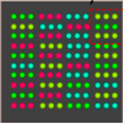 Fig.6 Microarray assay for cancer epitope analysis. (Musicò, et al., 2021)