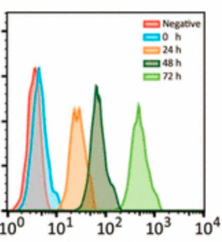 Fig.7 Flow cytometry-based cancer epitope analysis service. (Zhao, et al., 2020)