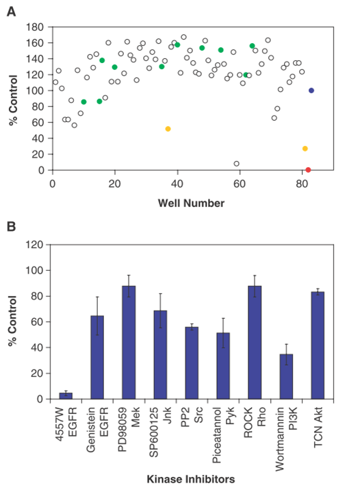 Fig.1 Small-molecule inhibitor screen for epidermal growth factor receptor (EGFR) inhibitors using real-time cell electronic sensing. (Atienza, et al., 2006)