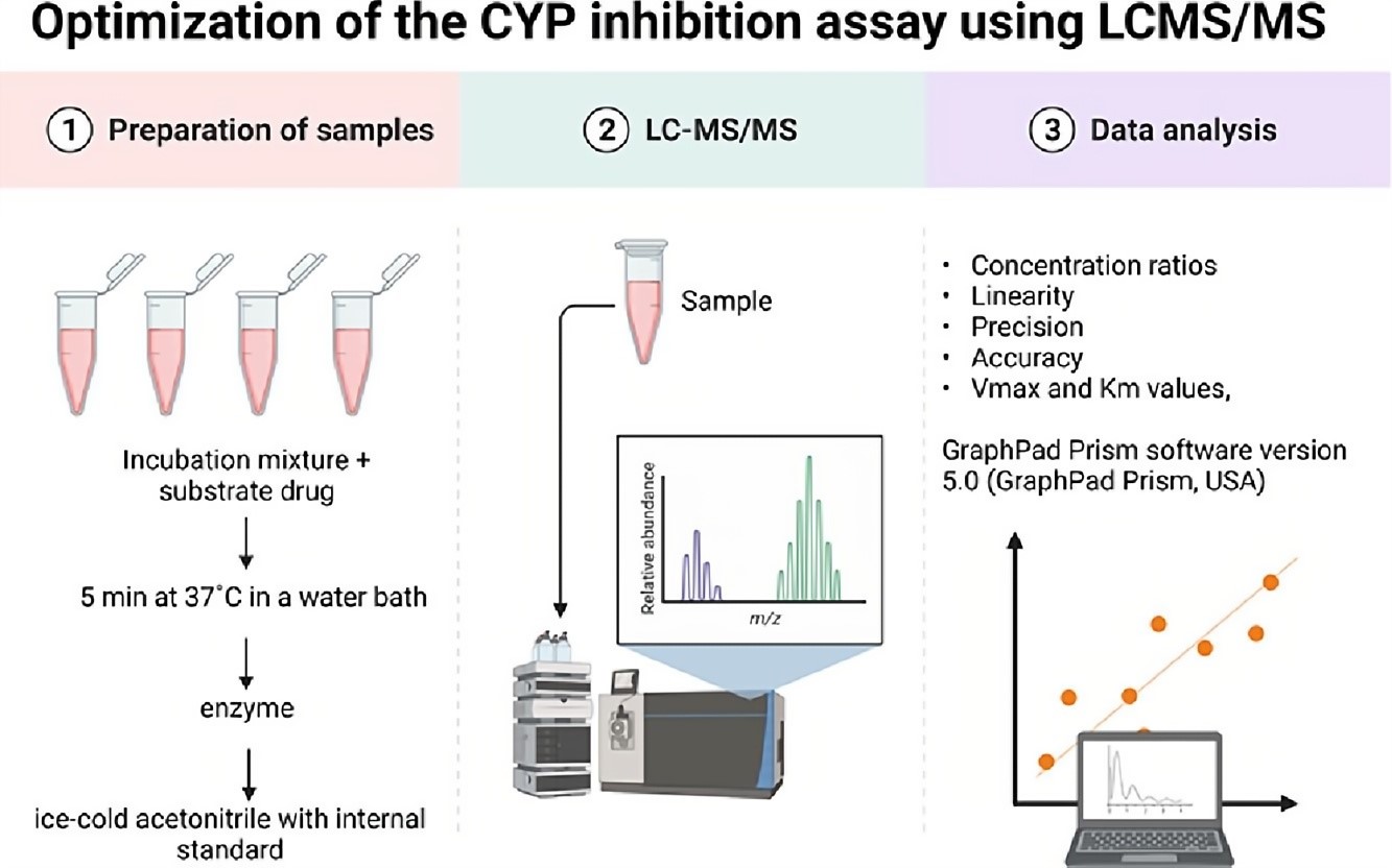 Fig.2 CYP inhibition assay. (Abduraman, et al., 2022)