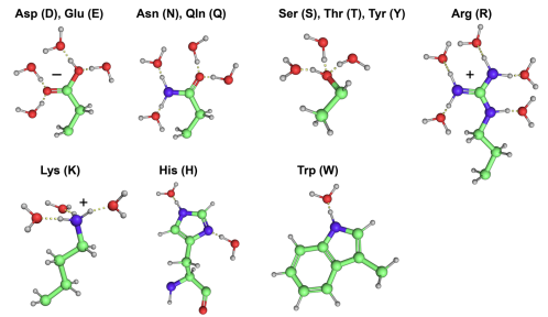 Fig.1 Hydrophilic amino acids. (Qing, et al., 2022)