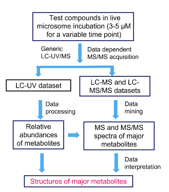 Fig.2 Experimental flow. (Zhu et al., 2022)