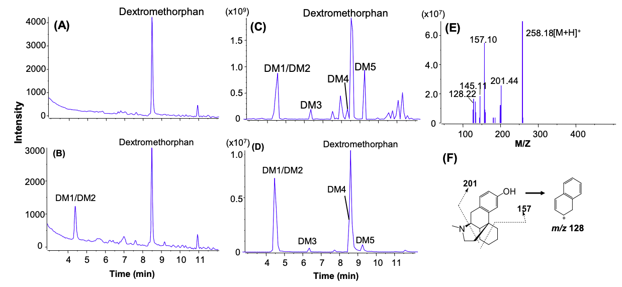 Fig.5 LC/UV/Qtrap. (Zhu et al., 2022)