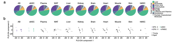 Fig.3 Metabolome analysis. (Liu et al., 2022)