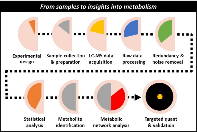 Fig.1 Metabolic. (Ivanisevic, et al., 2019)