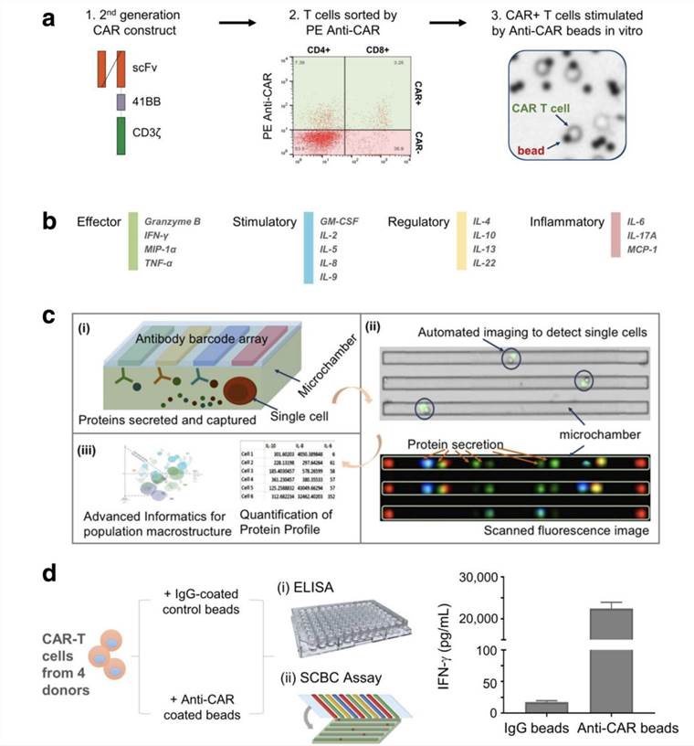 Fig.1 Multiplexing single cell measurement of CAR-T cells in microchamber. (Xue, Qiong, et al, 2017)