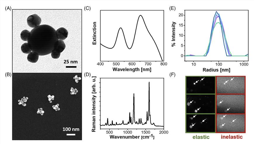 Fig.1 Characterization of Au/Au core/satellite particles. (Stepula, Elzbieta, et al, 2020)