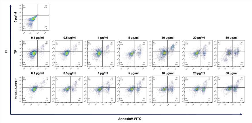 Fig.1 Apoptosis analysis for in vitro evaluation of anti-tumor activity. (Lu, Zhimeng, et al, 2024)