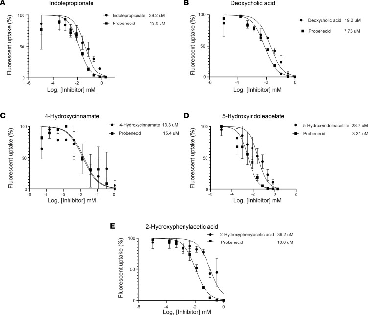 Fig.1 Gut-derived compounds inhibit the transport of 6-CF in OAT1-expressing HEK293 cells. (Granados, Jeffry C., et al., 2023)