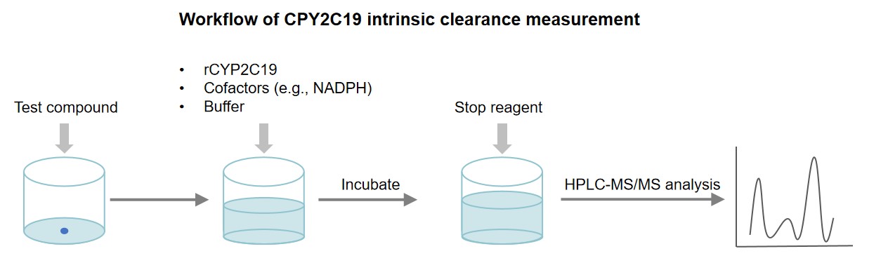 Fig.1 Workflow of CPY2C19 intrinsic clearance measurement. (Creative Biolabs original)