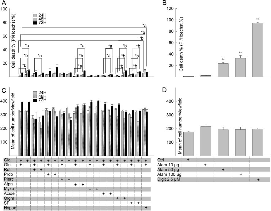 Fig.1 Effect of site-specific respiratory chain inhibition on the viability of HepG2. (Doczi, Judit, et al., 2023)