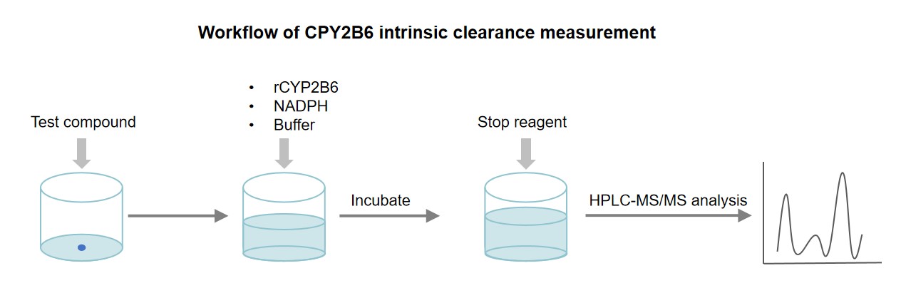 Fig.1 Workflow of CPY2B6 intrinsic clearance measurement. (Creative Biolabs original)