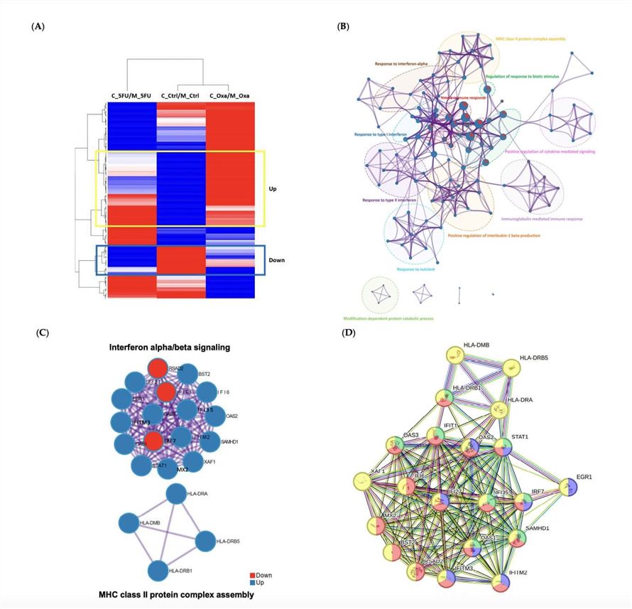 Potential Drug Resistance Genes Among 154 Co-culture Significant Genes. (Ryu, Kyoung-Bin, et al., 2024)