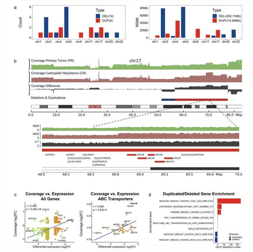 Whole Genome Sequencing CoverDifferencesnces Between the CR and PR Conditions. (Dozmorov, Mikhail G., et al., 2023)