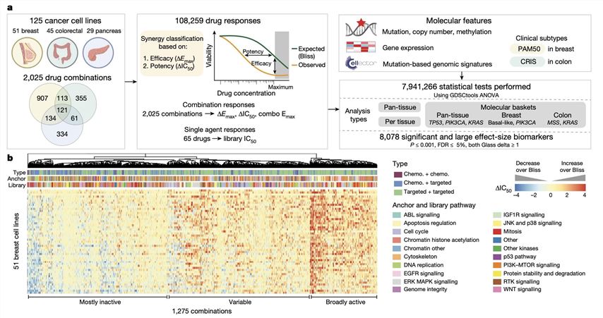 A large-scale Drug Combination Screening. (Jaaks, Patricia, et al., 2022)