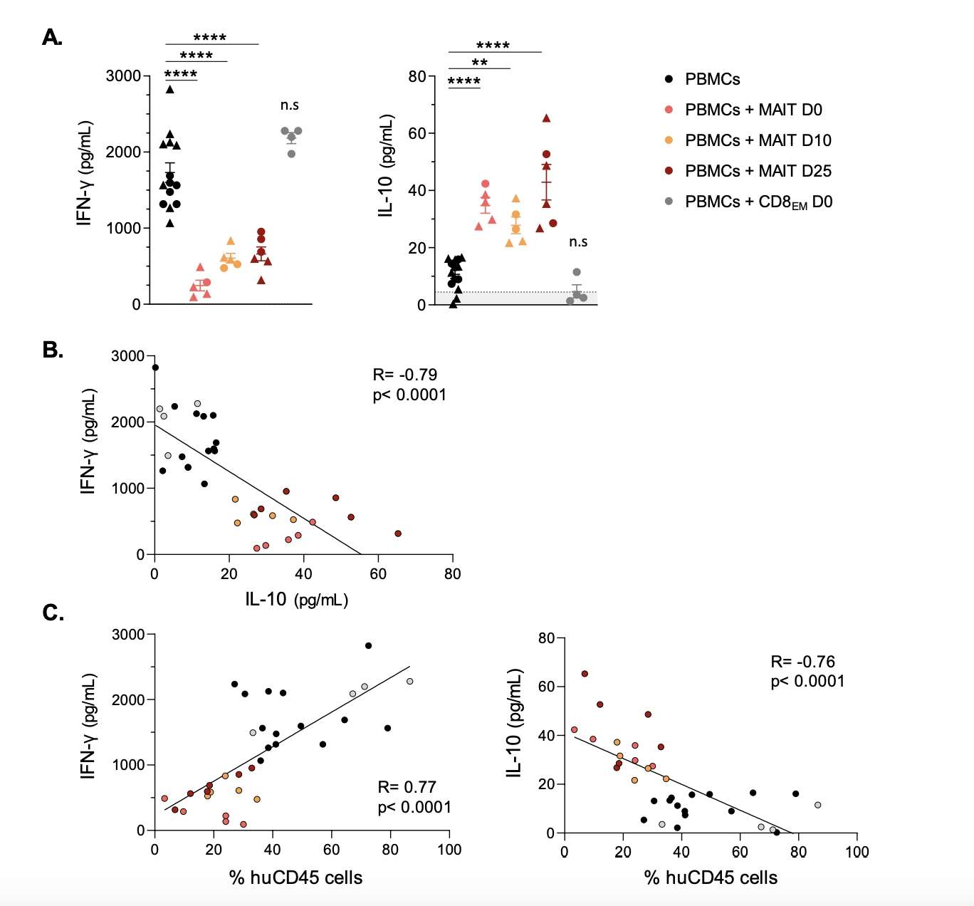 Circulating levels of IFN-gamma and IL-10 correlate with MAIT-mediated control of xenoreactive T cell expansion. (Talvard-Balland, Nana, et al., 2024)