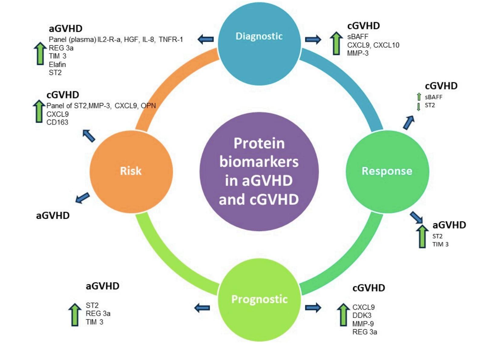 Protein Biomarkers in GVHD. (Alexoudi, Vaia-Aikaterini, et al., 2024)