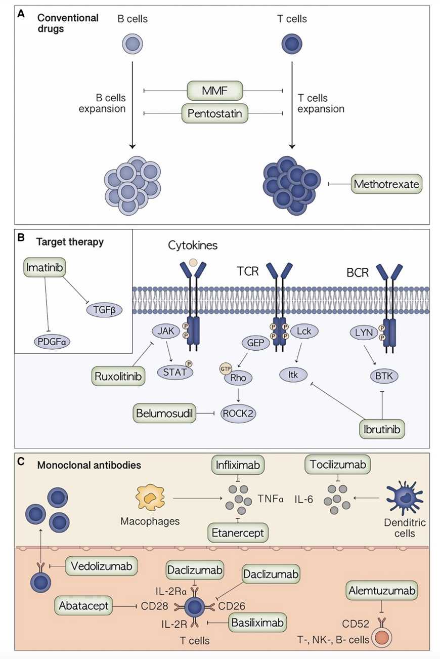 Mechanism of Action of The Main Therapeutic Agents For The Treatment of Pediatric Steroid-Resistant Acute Graft-Versus-Host Disease. (Gottardi, Francesca, et al., 2023)