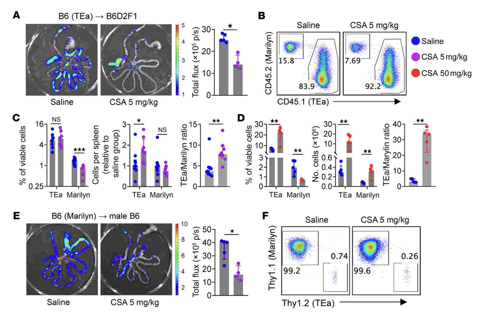 CSA Attenuates Acute GVHD But Promotes Alloantigen-Specific CD4+ T Cell Survival. (Wang, Yewei, et al., 2024)