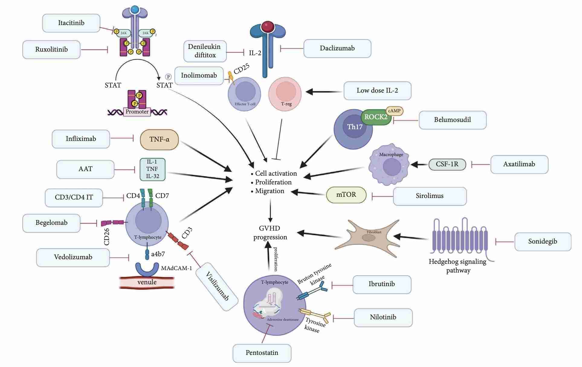 Mechanism of Action of Various Novel Therapies in GVHD. (Kovalenko, Iuliia, et al., 2023)